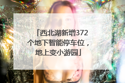 西北湖新增372个地下智能停车位，地上变小游园
