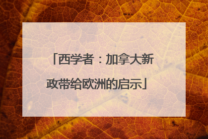 西学者：加拿大新政带给欧洲的启示