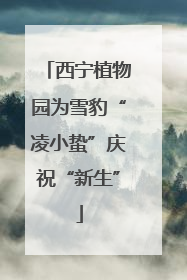 西宁植物园为雪豹“凌小蛰”庆祝“新生”
