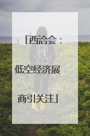 西洽会：低空经济展商引关注