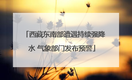 西藏东南部遭遇持续强降水 气象部门发布预警