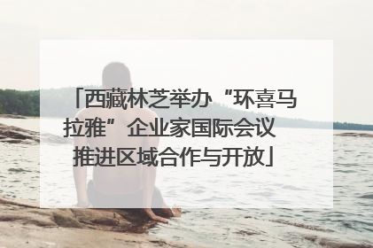 西藏林芝举办“环喜马拉雅”企业家国际会议 推进区域合作与开放