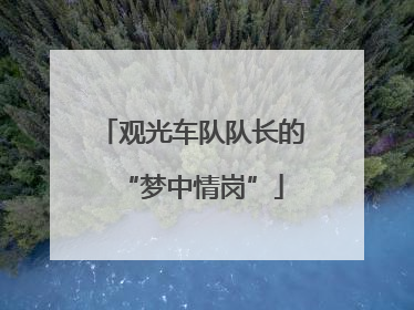 观光车队队长的“梦中情岗”
