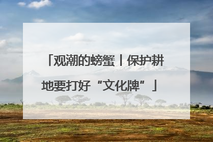 观潮的螃蟹丨保护耕地要打好“文化牌”