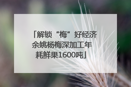 解锁“梅”好经济 余姚杨梅深加工年耗鲜果1600吨