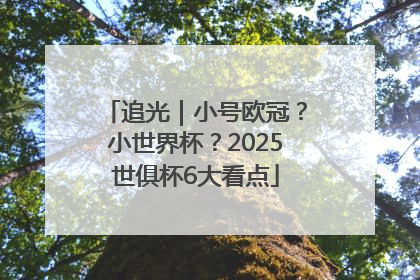 追光｜小号欧冠？小世界杯？2025世俱杯6大看点