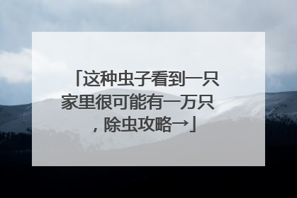 这种虫子看到一只家里很可能有一万只，除虫攻略→
