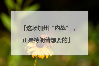 这场加州“内战”，正是特朗普想要的