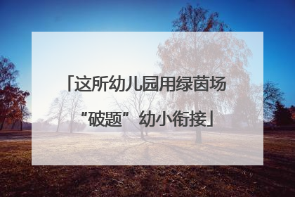 这所幼儿园用绿茵场“破题”幼小衔接