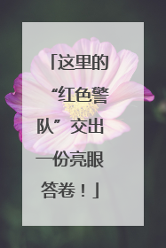 这里的“红色警队”交出一份亮眼答卷！