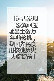 远古发现｜濛溪河遗址出土数万年前核桃，我国先民食用核桃历史大幅提前