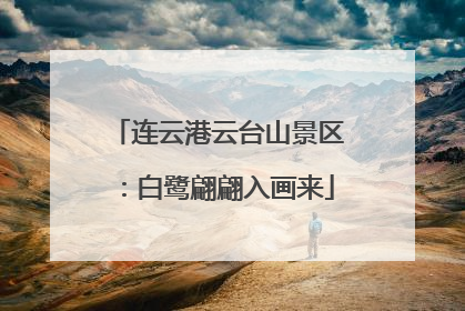 连云港云台山景区：白鹭翩翩入画来