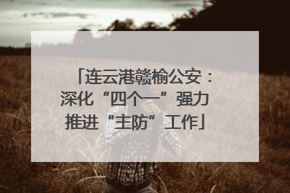 连云港赣榆公安：深化“四个一”强力推进“主防”工作