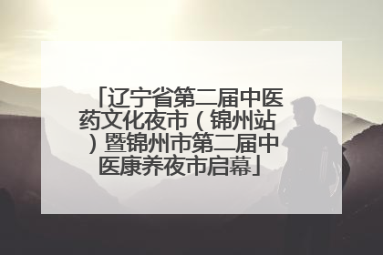 辽宁省第二届中医药文化夜市（锦州站）暨锦州市第二届中医康养夜市启幕