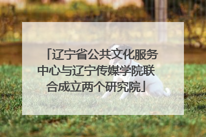 辽宁省公共文化服务中心与辽宁传媒学院联合成立两个研究院