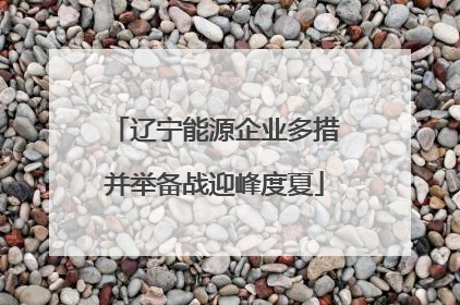 辽宁能源企业多措并举备战迎峰度夏