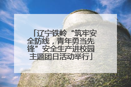 辽宁铁岭“筑牢安全防线，青年勇当先锋”安全生产进校园主题团日活动举行