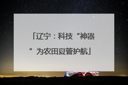 辽宁：科技“神器”为农田夏管护航