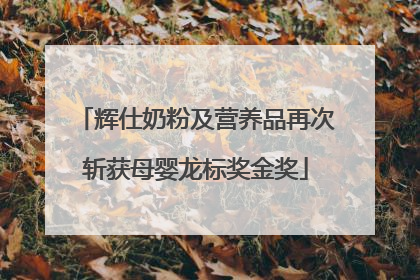 辉仕奶粉及营养品再次斩获母婴龙标奖金奖