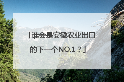 谁会是安徽农业出口的下一个NO.1？