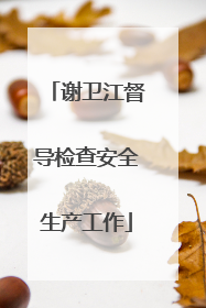 谢卫江督导检查安全生产工作