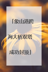 象山港跨海大桥双塔成功封顶