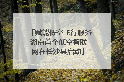 赋能低空飞行服务 湖南首个低空智联网在长沙县启动