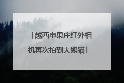 越西申果庄红外相机再次拍到大熊猫
