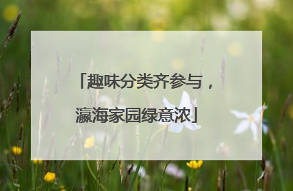 趣味分类齐参与，瀛海家园绿意浓