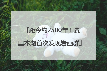 距今约2500年！赛里木湖首次发现岩画群