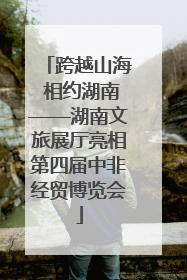 跨越山海 相约湖南——湖南文旅展厅亮相第四届中非经贸博览会
