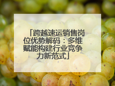 跨越速运销售岗位优势解码：多维赋能构建行业竞争力新范式