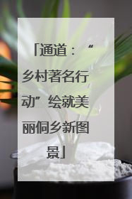 通道：“乡村著名行动”绘就美丽侗乡新图景