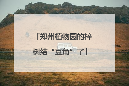 郑州植物园的梓树结“豆角”了