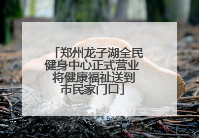 郑州龙子湖全民健身中心正式营业 将健康福祉送到市民家门口