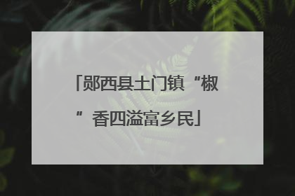 郧西县土门镇“椒”香四溢富乡民