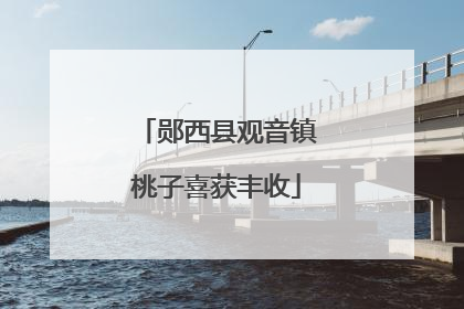 郧西县观音镇桃子喜获丰收