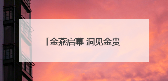金燕启幕 洞见金贵 SCOTCH 燕窝中国新品发布会盛大举行