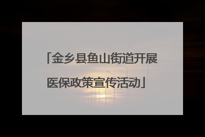 金乡县鱼山街道开展医保政策宣传活动