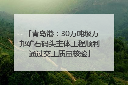 青岛港：30万吨级万邦矿石码头主体工程顺利通过交工质量核验