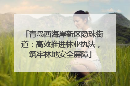 青岛西海岸新区隐珠街道：高效推进林业执法，筑牢林地安全屏障