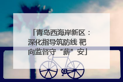 青岛西海岸新区：深化指导筑防线 靶向监督守“薪”安