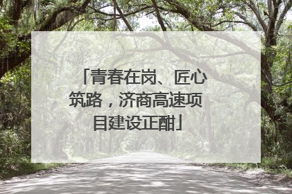 青春在岗、匠心筑路，济商高速项目建设正酣