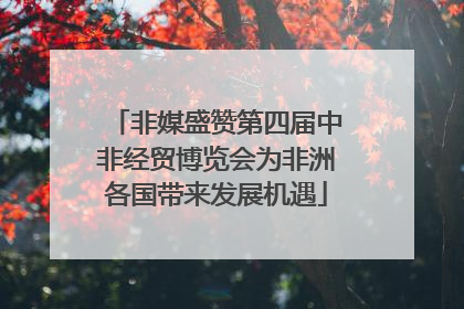 非媒盛赞第四届中非经贸博览会为非洲各国带来发展机遇