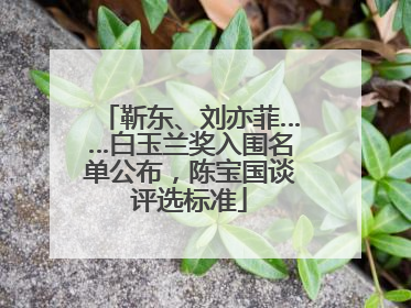靳东、刘亦菲……白玉兰奖入围名单公布，陈宝国谈评选标准