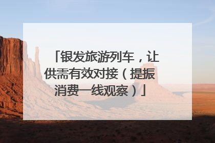银发旅游列车，让供需有效对接（提振消费一线观察）