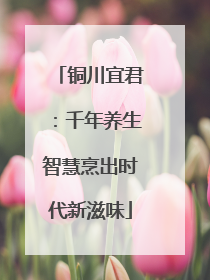 铜川宜君：千年养生智慧烹出时代新滋味