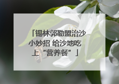 锡林郭勒盟治沙小妙招 给沙地吃上“营养餐”