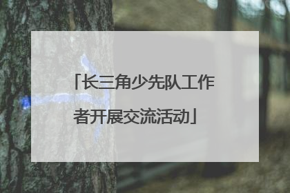 长三角少先队工作者开展交流活动