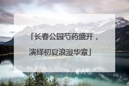 长春公园芍药盛开，演绎初夏浪漫华章